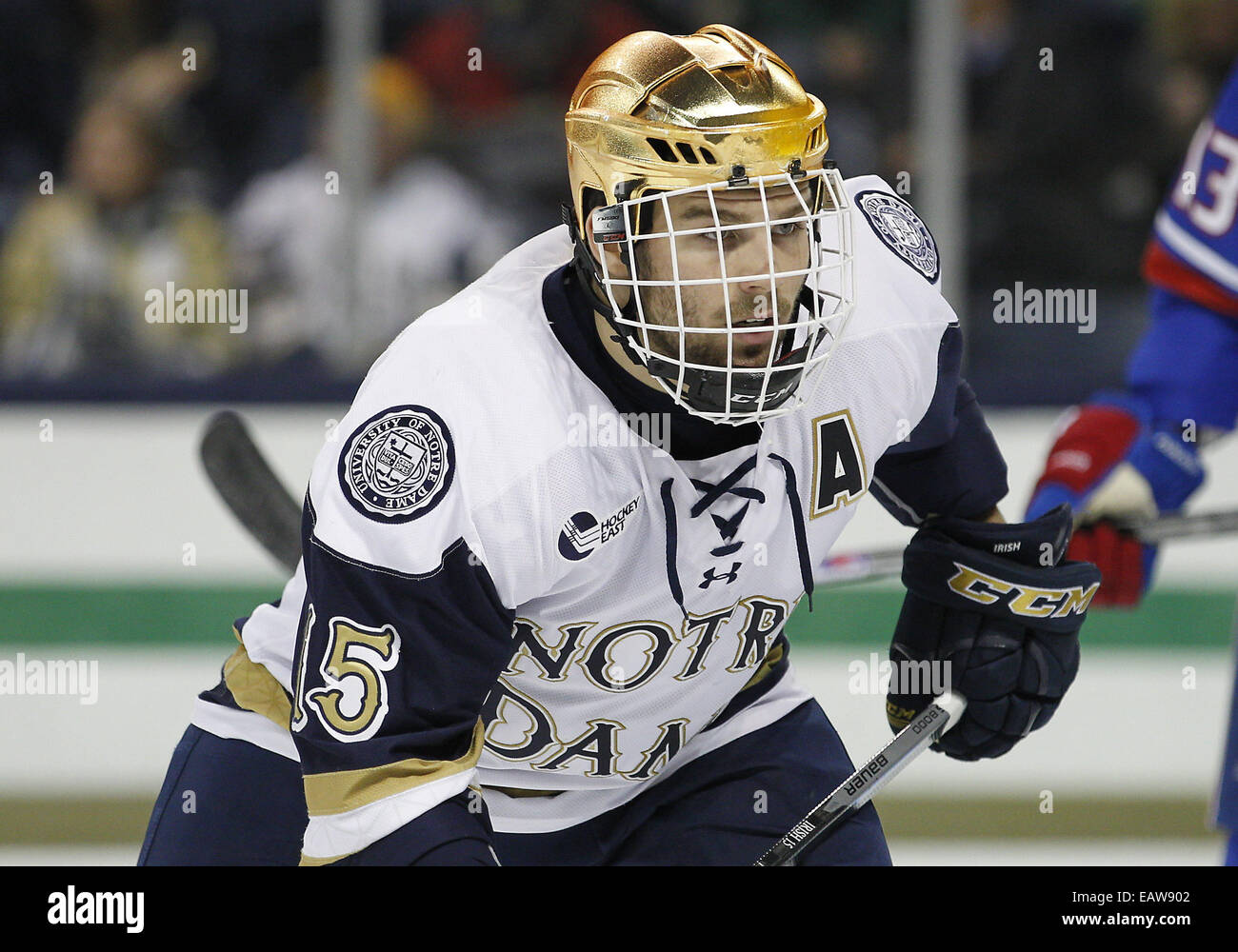 South Bend, Indiana, USA. 20 Nov, 2014. Notre Dame de l'aile droite Peter Schneider (15) match de hockey NCAA au cours de l'action entre la lutte contre Notre Dame et l'Irlandais UMass Lowell River Hawks à Compton Famille Ice Arena à South Bend, Indiana. UMass Lowell défait Notre Dame 3-1. © csm/Alamy Live News Banque D'Images