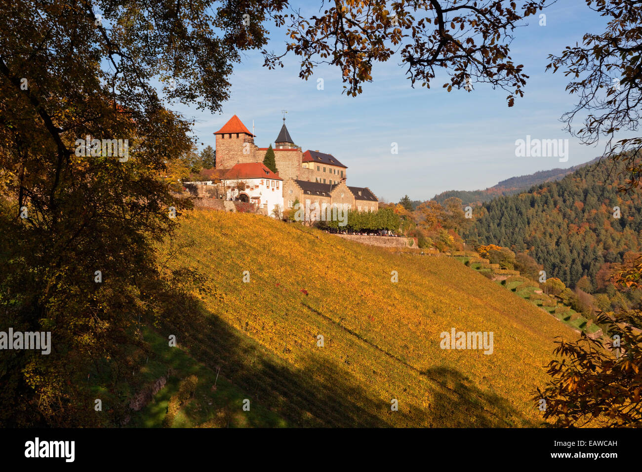 Château Eberstein près de Gernsbach, Forêt Noire, Allemagne Banque D'Images