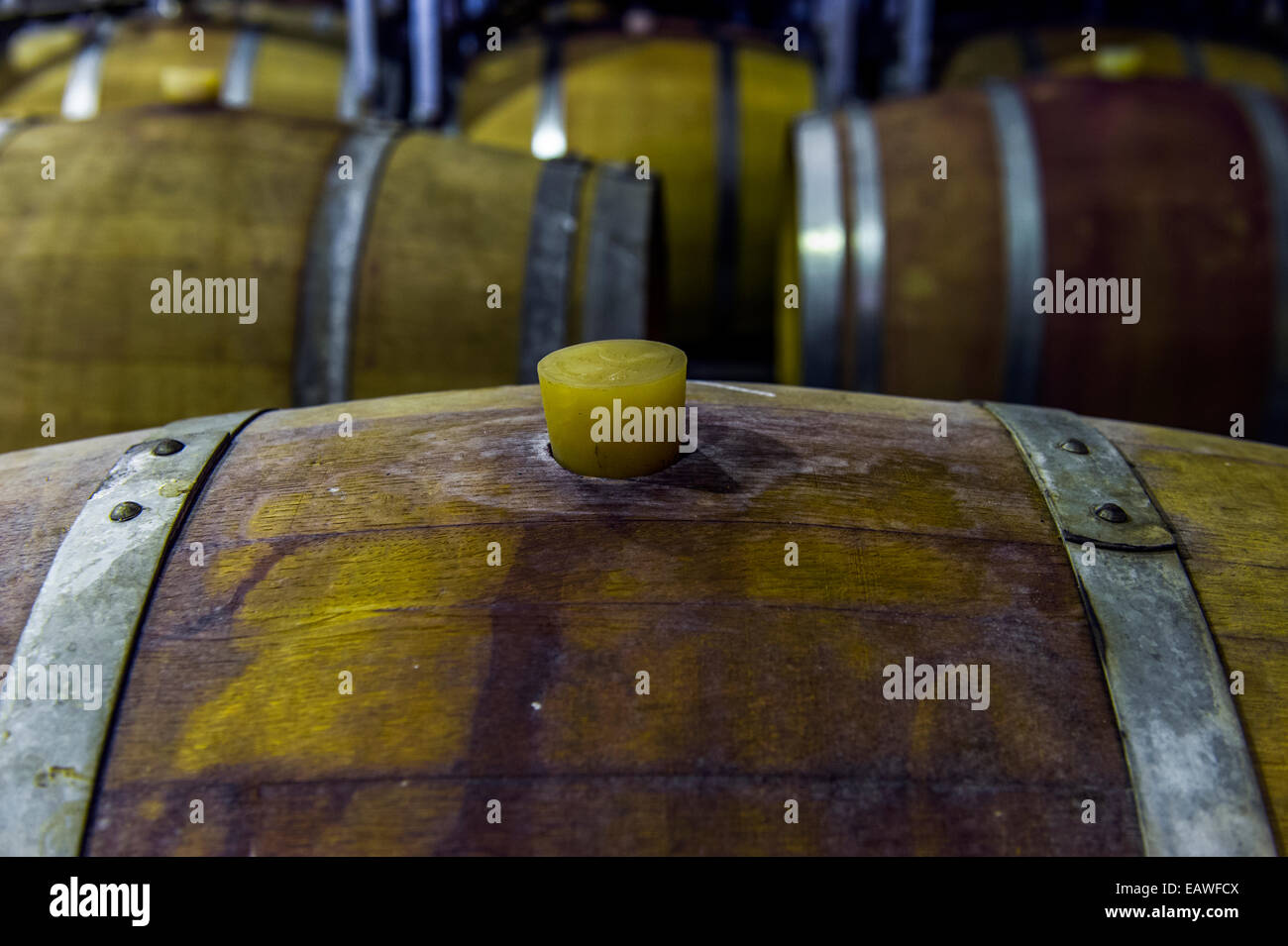 Une bonde en caoutchouc est utilisé pour sceller un tonneau de vin dans un vignoble. Banque D'Images