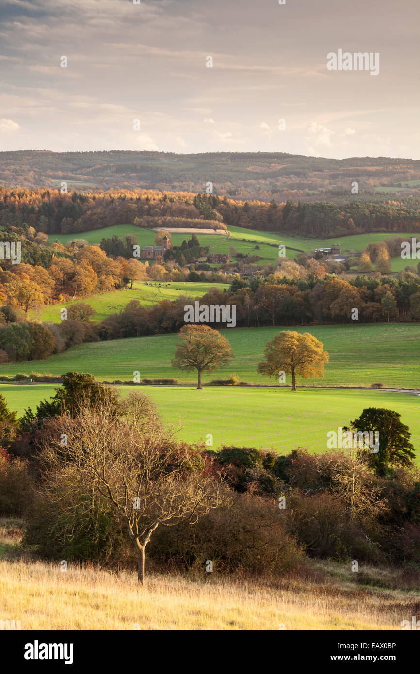 Vue sur les collines du Surrey et Albury de Newlands Corner dans les North Downs. Surrey, England, UK Banque D'Images