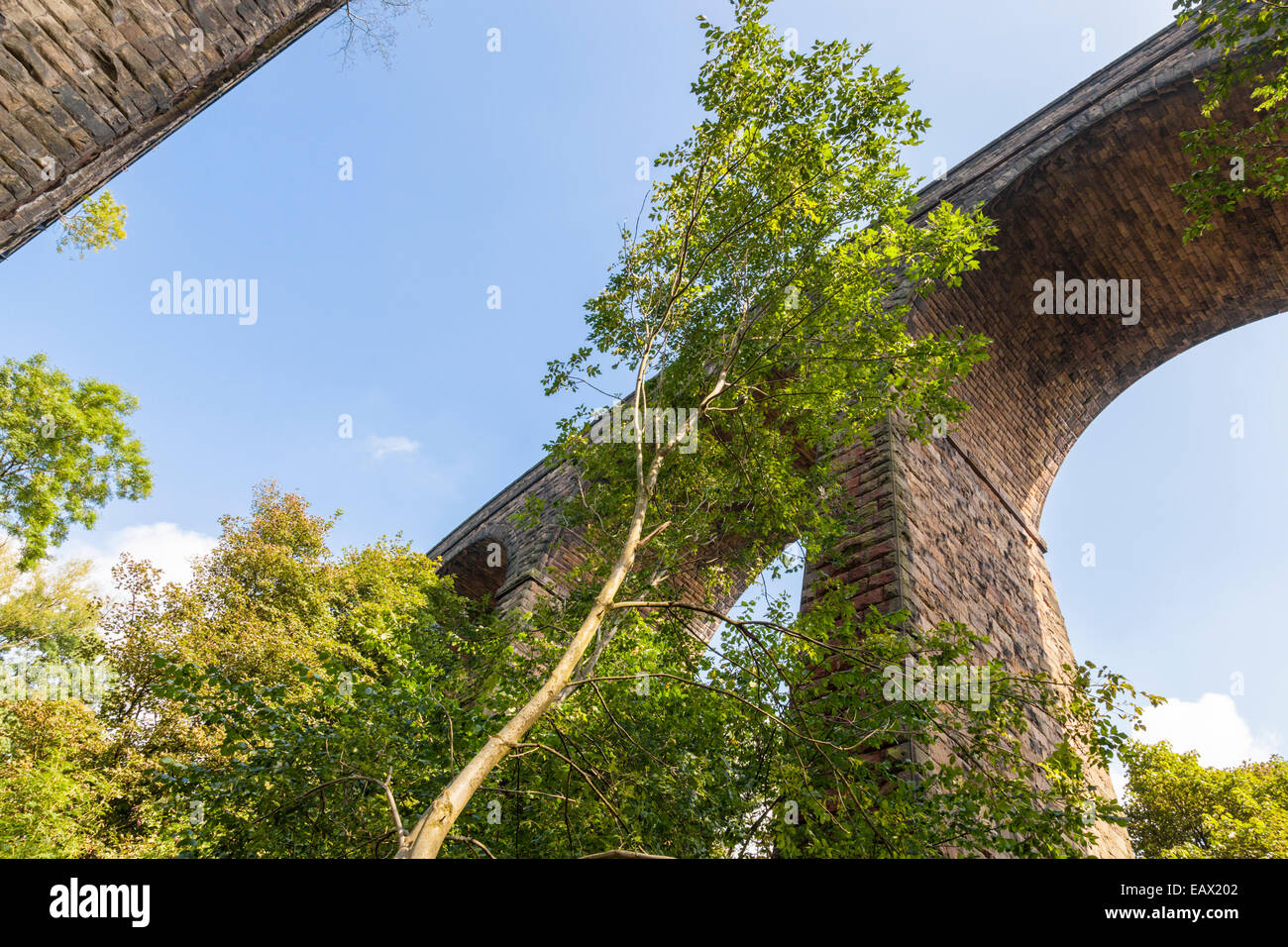 À la recherche jusqu'à un viaduc de chemin de fer avec des arbres autour, chapelle, Milton, Derbyshire Peak District, England, UK Banque D'Images