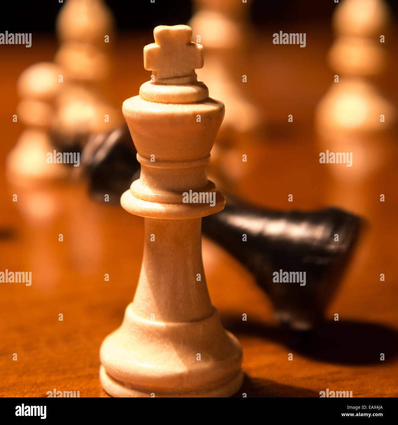 Tomber sur king Chess Chess board Banque D'Images