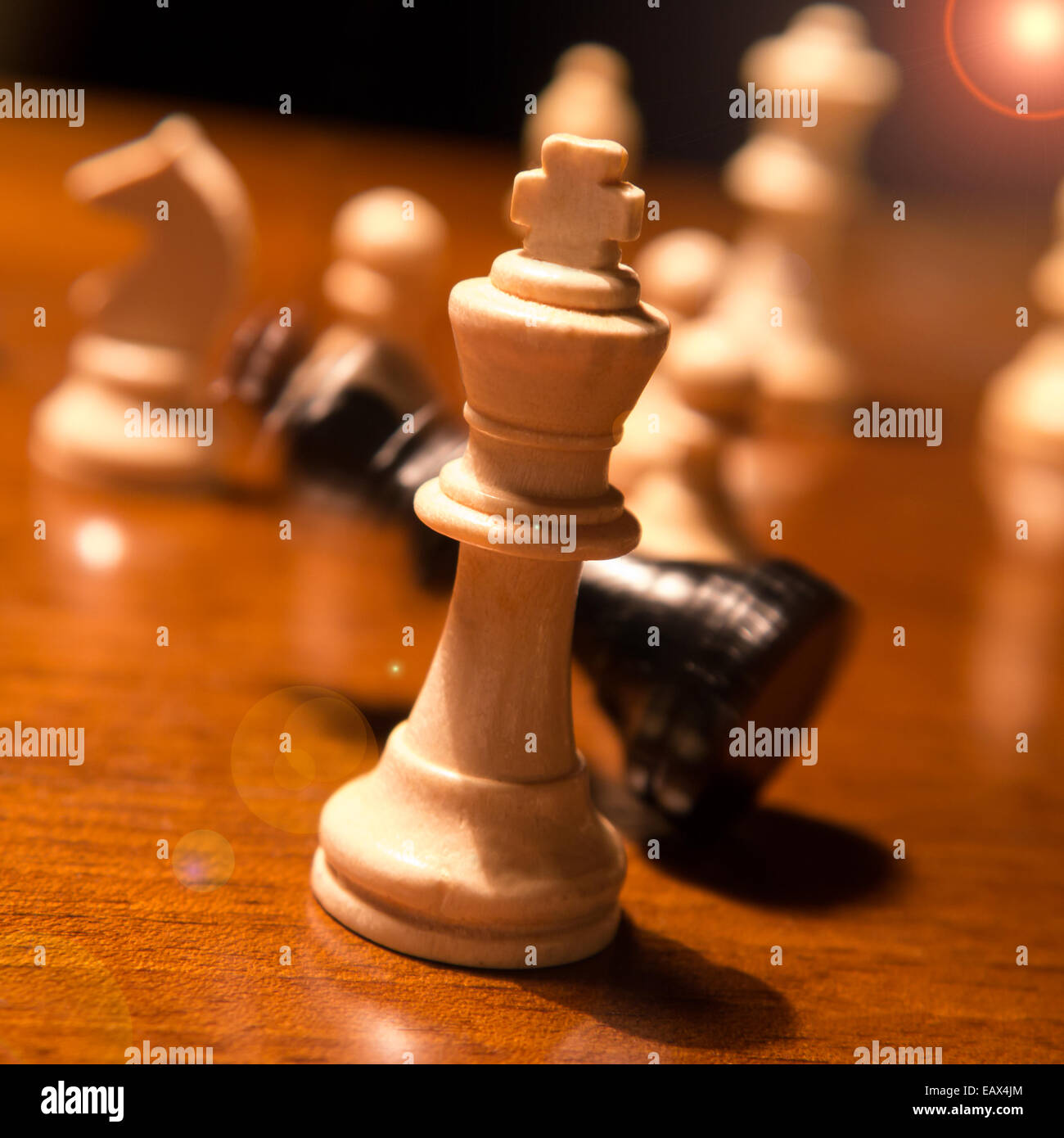 Roi d'échecs tombant sur chess board Banque D'Images