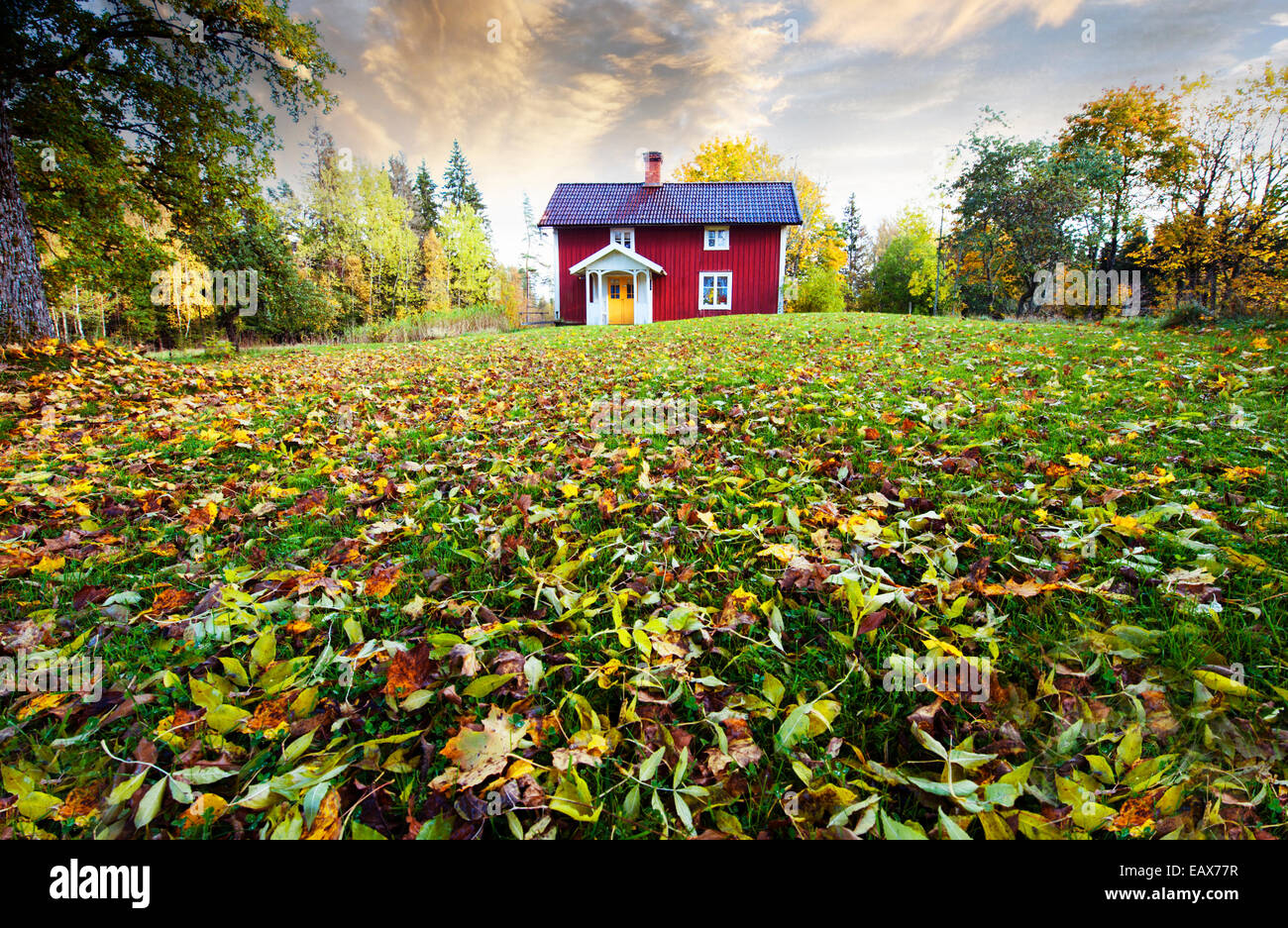 Petit gîte rural entouré de feuilles d'automne et les couleurs Banque D'Images