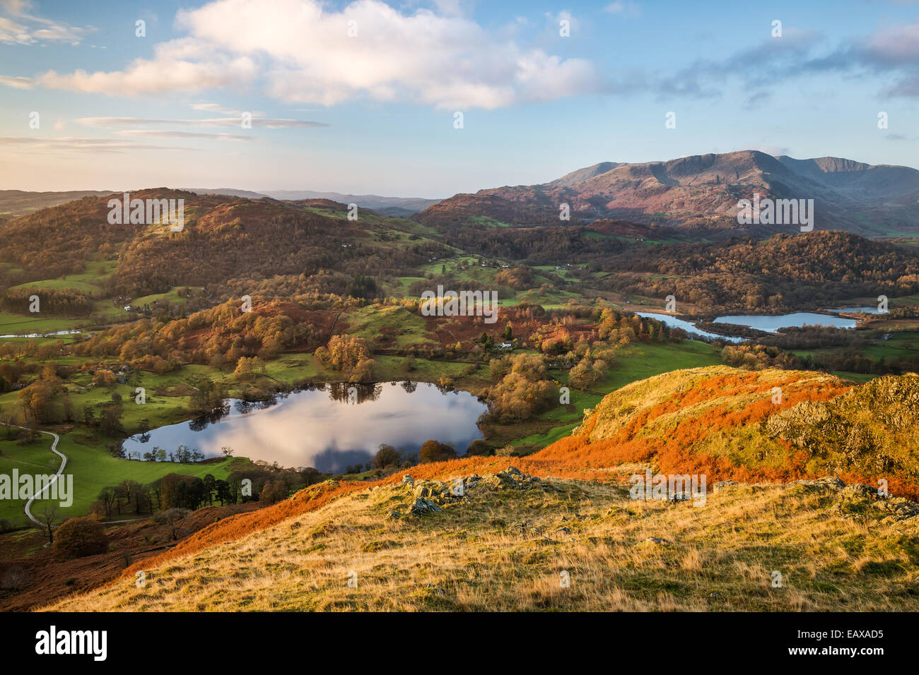 Vue sur Loughrigg Tarn au lever du soleil depuis le sommet de Loughrigg Fell, à l'échelle de l'eau vers l'Tilberthwaite Elter Banque D'Images