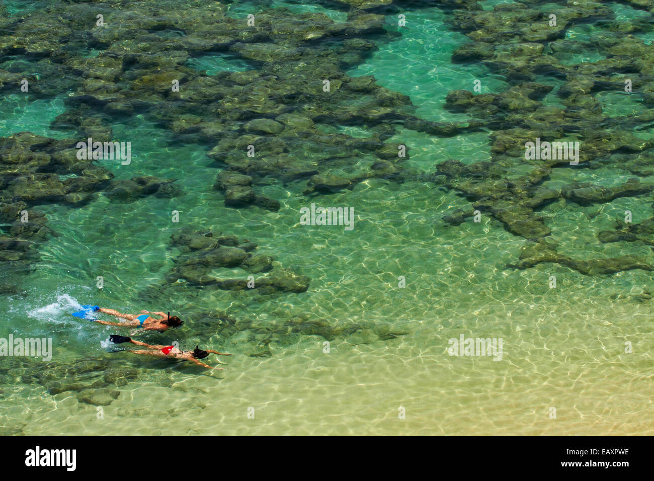 Les gens de la plongée avec tuba parmi les récifs coralliens à Hanauma Bay Nature Preserve, Oahu, Hawaii, USA Banque D'Images