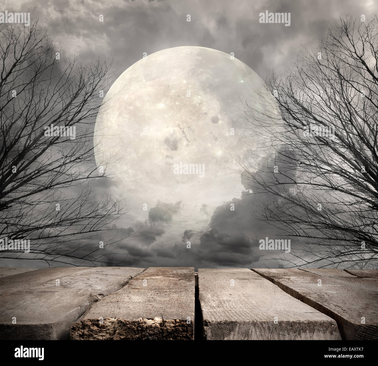 Forêt Spooky avec la pleine lune. Éléments de cette image fournie par la NASA Banque D'Images