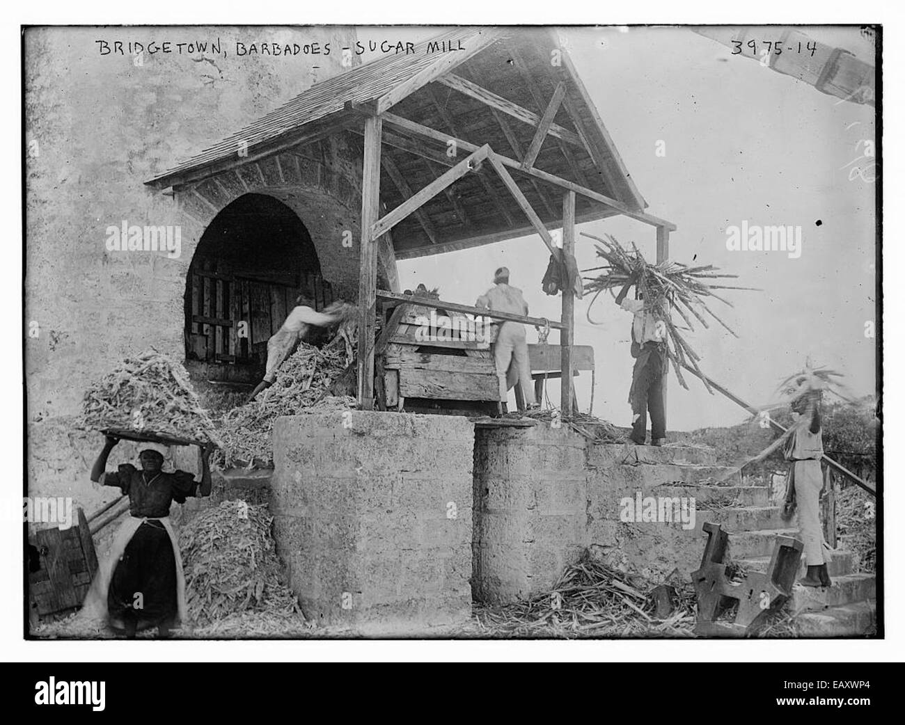 Cette photographie montre un moulin à sucre à Bridgetown, à la Barbade, capturant l'histoire industrielle de l'île. La production de sucre a joué un rôle important dans l'économie et la société de la Barbade, les sucreries comme celle représentée étant au cœur de l'industrie. Banque D'Images
