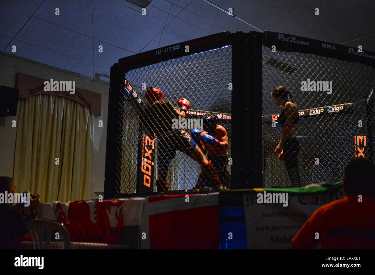 Gibraltar. 21 Nov, 2014. Gibraltar a tenu sa première cage MMA combat à la  salle centrale, Gibraltar. L'événement a vu des équipes de l'Espagne et  l'Angleterre se mesurer à une équipe locale