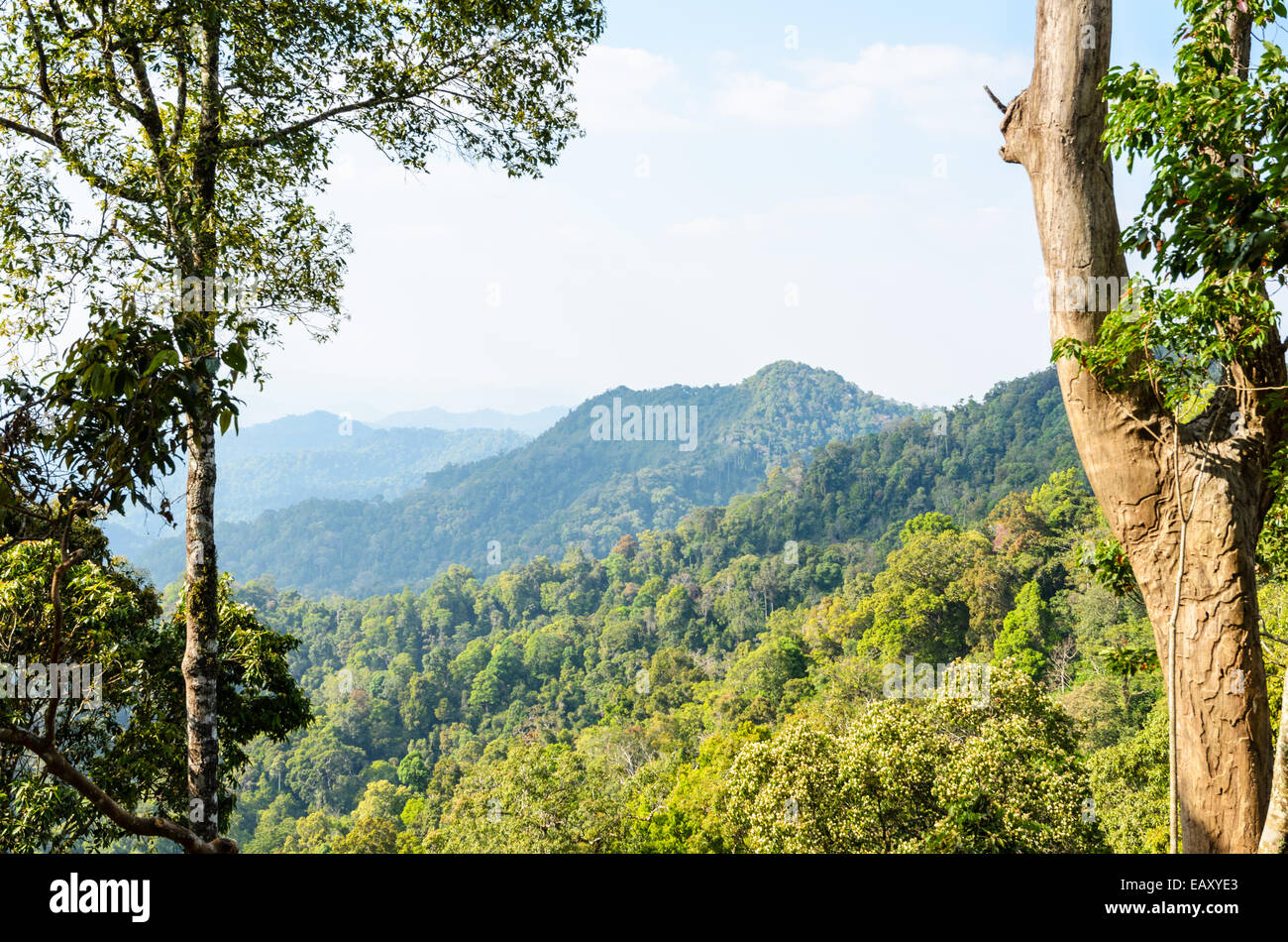 High angle view montagne forêt et ciel d'Panoen point panoramique à Thung Parc National Kaeng Krachan province Phetchaburi dans Th Banque D'Images