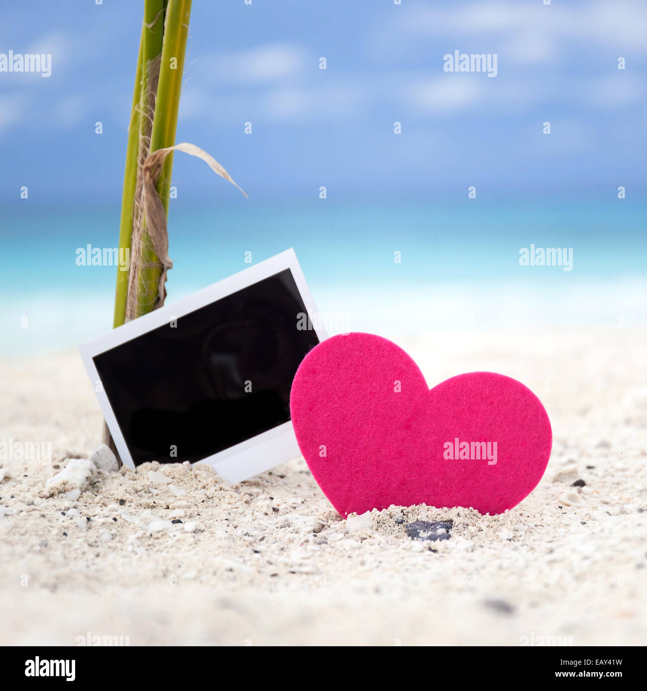 Carte photo avec coeur vide sur plage de sable près de jeune palmier. Concept de voyage de mémoire Banque D'Images
