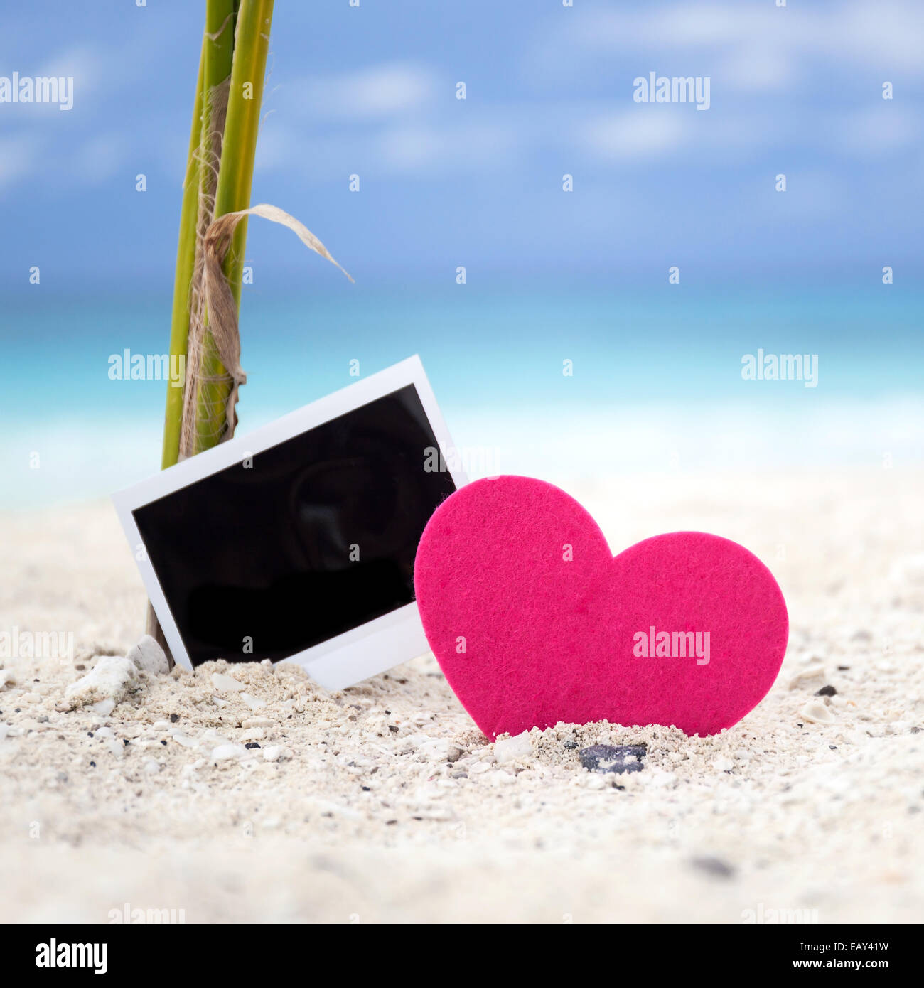 Carte photo avec coeur vide sur plage de sable près de jeune palmier. Concept de voyage de mémoire Banque D'Images Carte photo avec coeur vide sur plage de sable près de jeune palmier. Concept de voyage de mémoire Banque D'Images