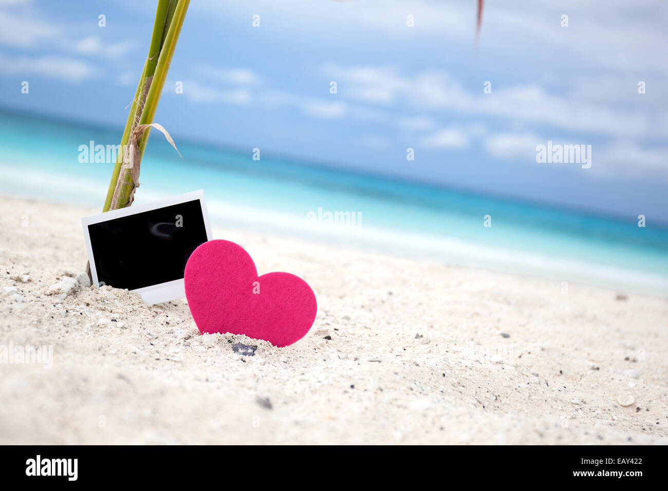 Carte photo avec coeur vide sur plage de sable près de jeune palmier. Concept de voyage de mémoire Banque D'Images