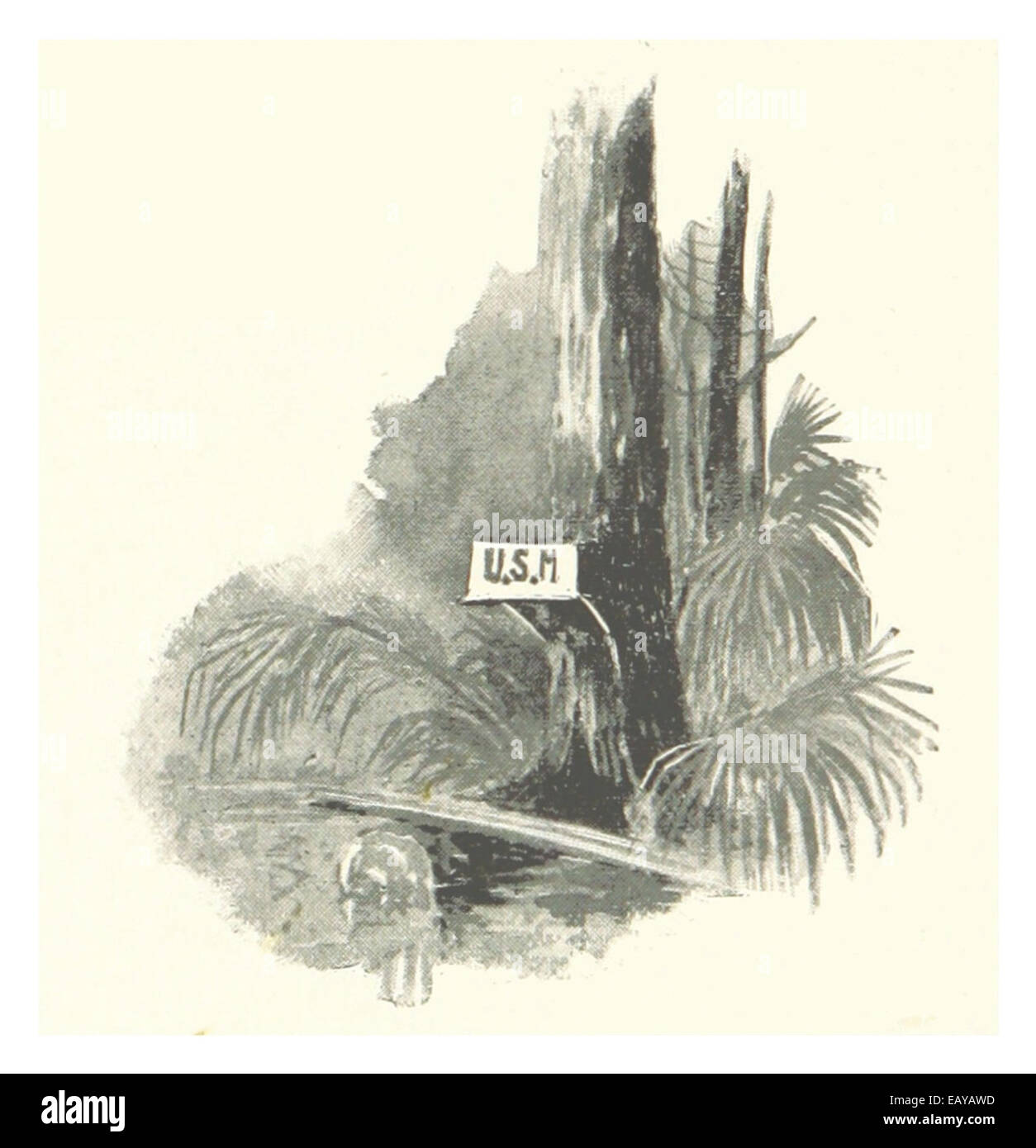 Cette illustration de 1889 d'un bureau de poste situé le long de la rivière en Floride met en évidence les débuts du service postal américain et le rôle des voies navigables dans le transport. Banque D'Images