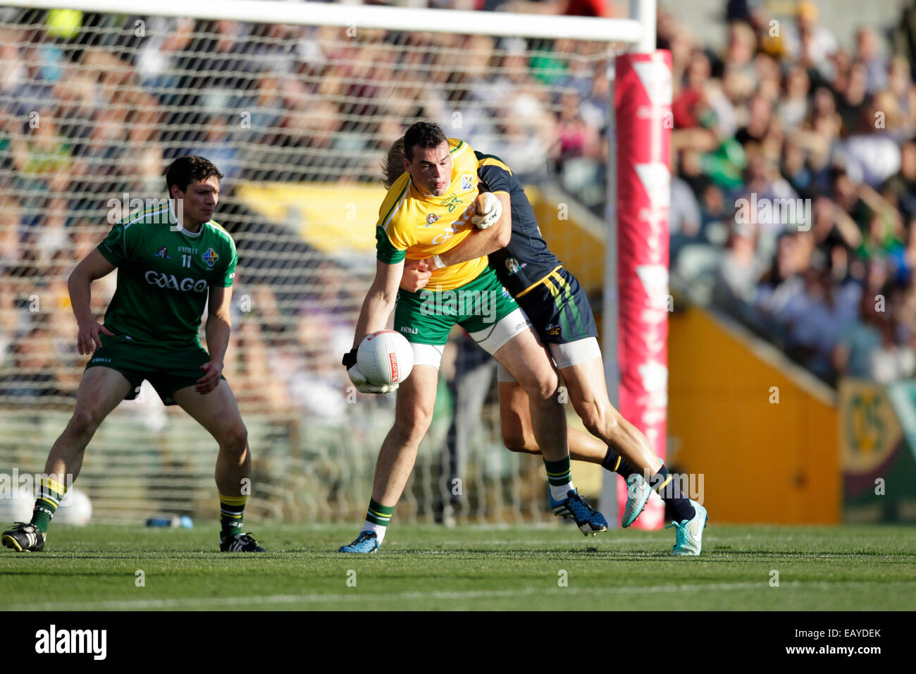 Paterson Stadium, Perth, Australie. 22 Nov, 2014. Série de règles internationales de football gaélique, Perth, Australie 1 match contre l'Irlande, le Paddy O'Rourke est pris avec la balle. Credit : Action Plus Sport/Alamy Live News Banque D'Images