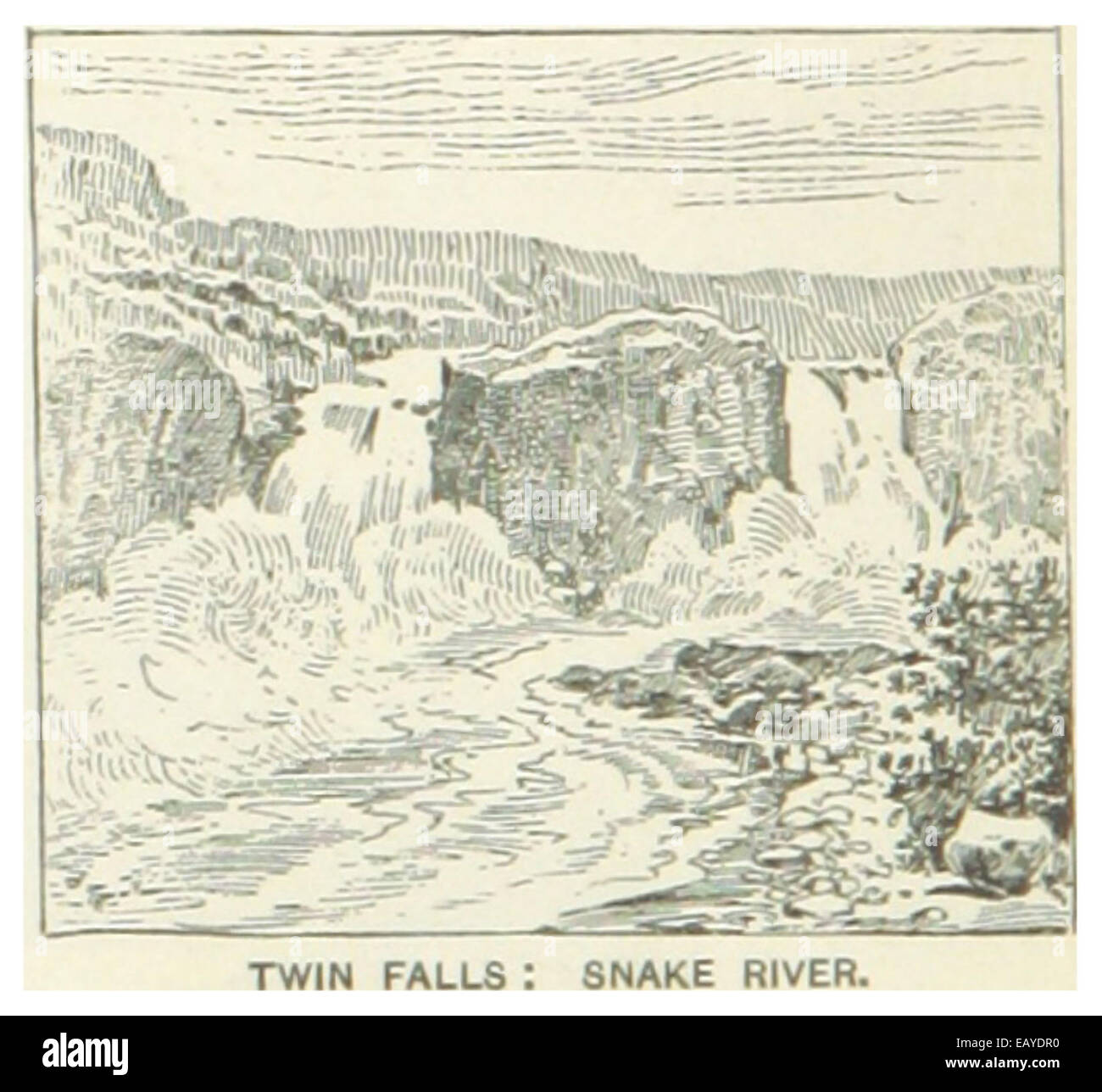 US-ID(1891) p198 TWINN FALLS, fleuve de serpent Banque D'Images