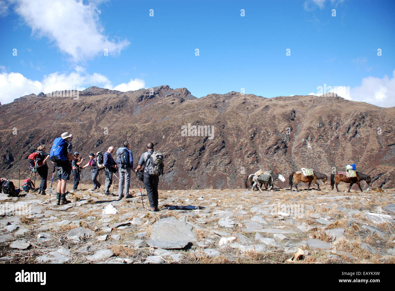 Les randonneurs à un point haut de l'Himalaya indien regarder comme un bagage poney train passe une pente dénudée Banque D'Images