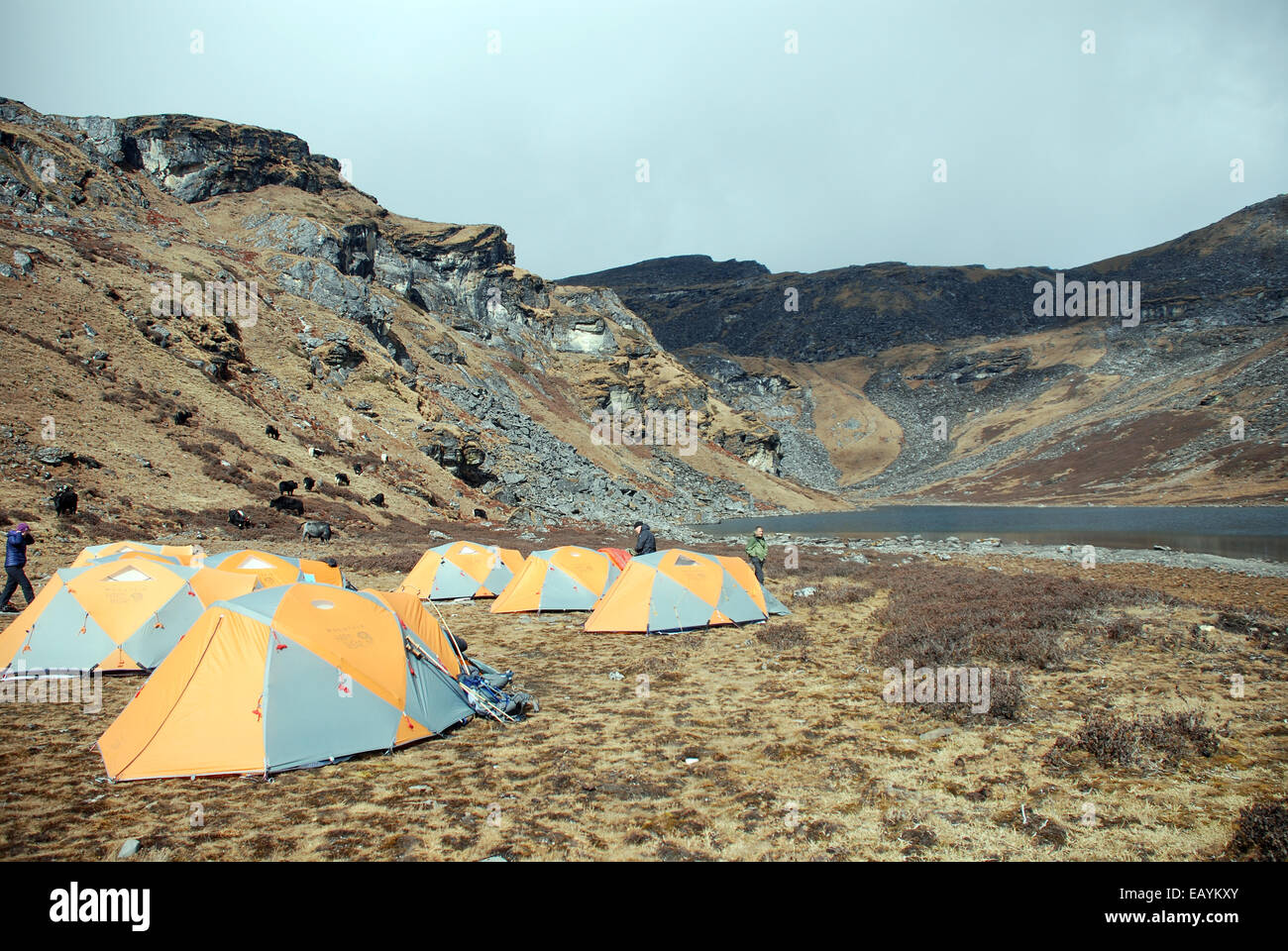 Un terrain de camping dans l'Himalaya indien à proximité du lac de Lam Pokhri Banque D'Images
