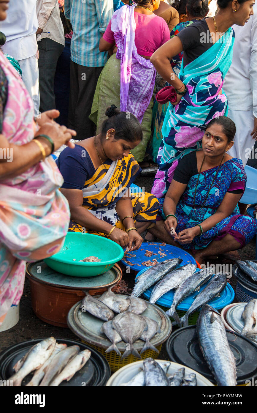 Marché aux poissons Quai Sassoon, Mumbai, Inde Banque D'Images