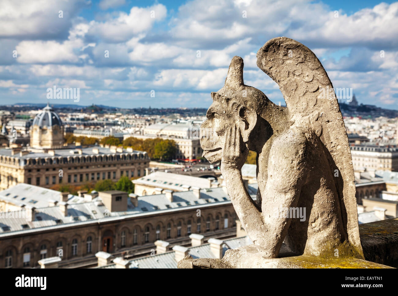 Vue aérienne de Paris avec chimères de Notre-Dame de Paris Banque D'Images