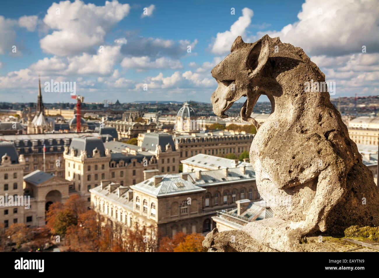 Vue aérienne de Paris avec chimères de Notre-Dame de Paris Banque D'Images