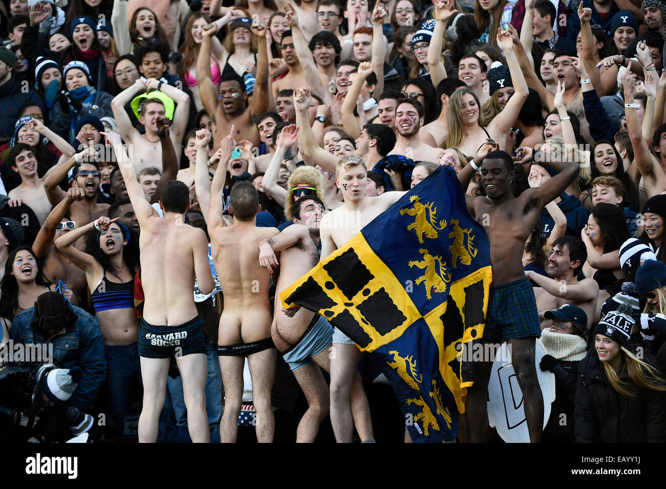 Boston, Massachusetts, USA. 22 Nov, 2014. Fans de Yale envoyer la Harvard fans un message lors de la NCAA football match entre le Crimson de Harvard et le Yale Bulldogs tenue au stade de Harvard à Boston, Massachusetts. Eric Canha/CSM/Alamy Live News Banque D'Images