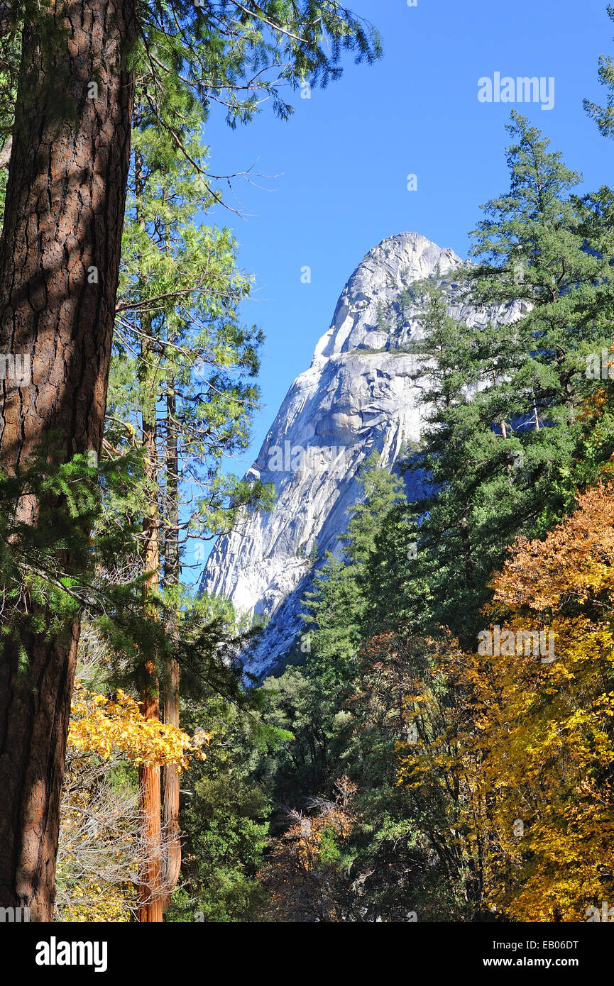 Arbres et feuillage d'automne cadre un dôme de granit dans la vallée de Yosemite National Park. Banque D'Images