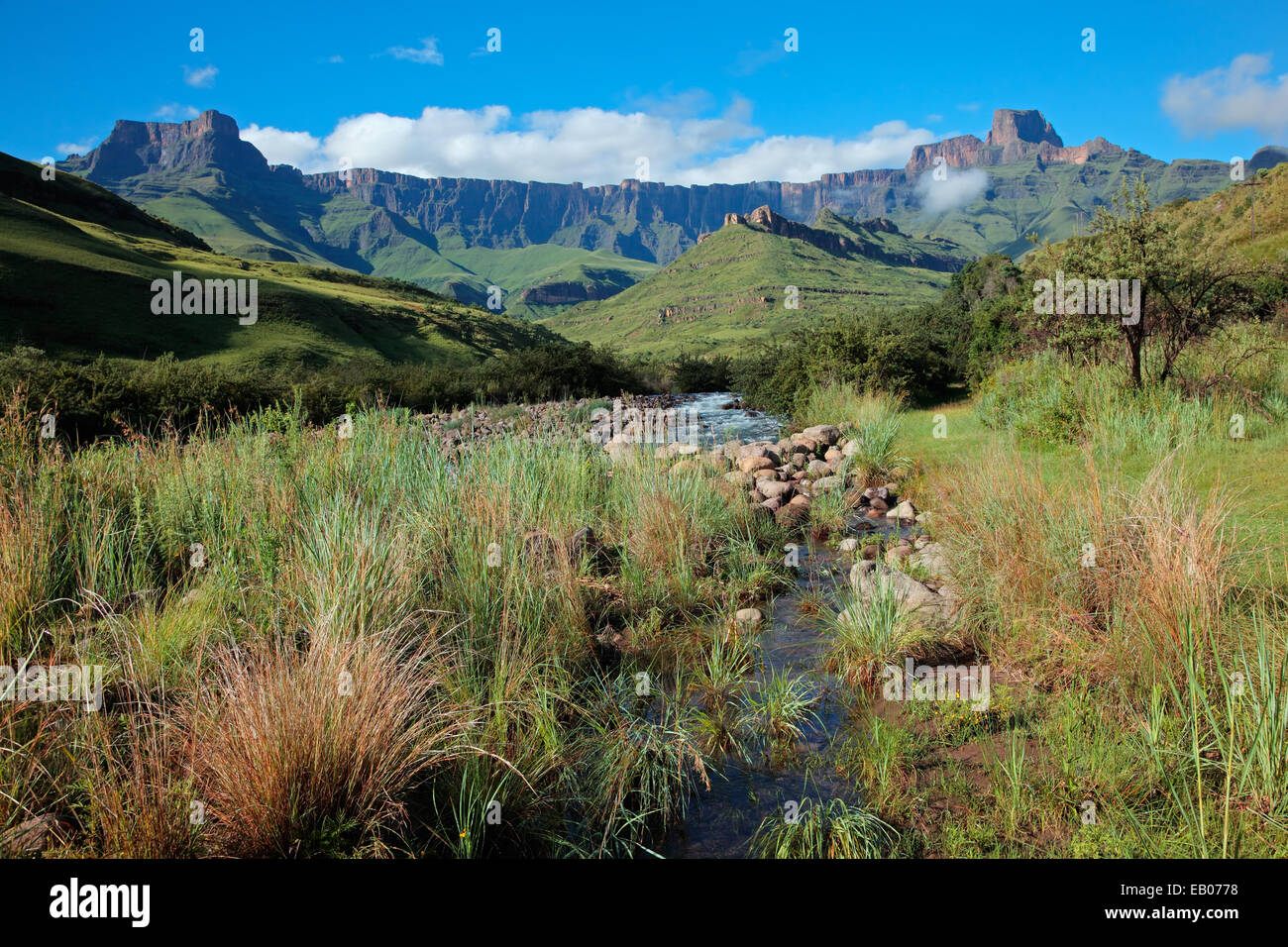 Amphithéâtre et la rivière Tugela, montagnes du Drakensberg, Parc national royal Natal, Afrique du Sud Banque D'Images