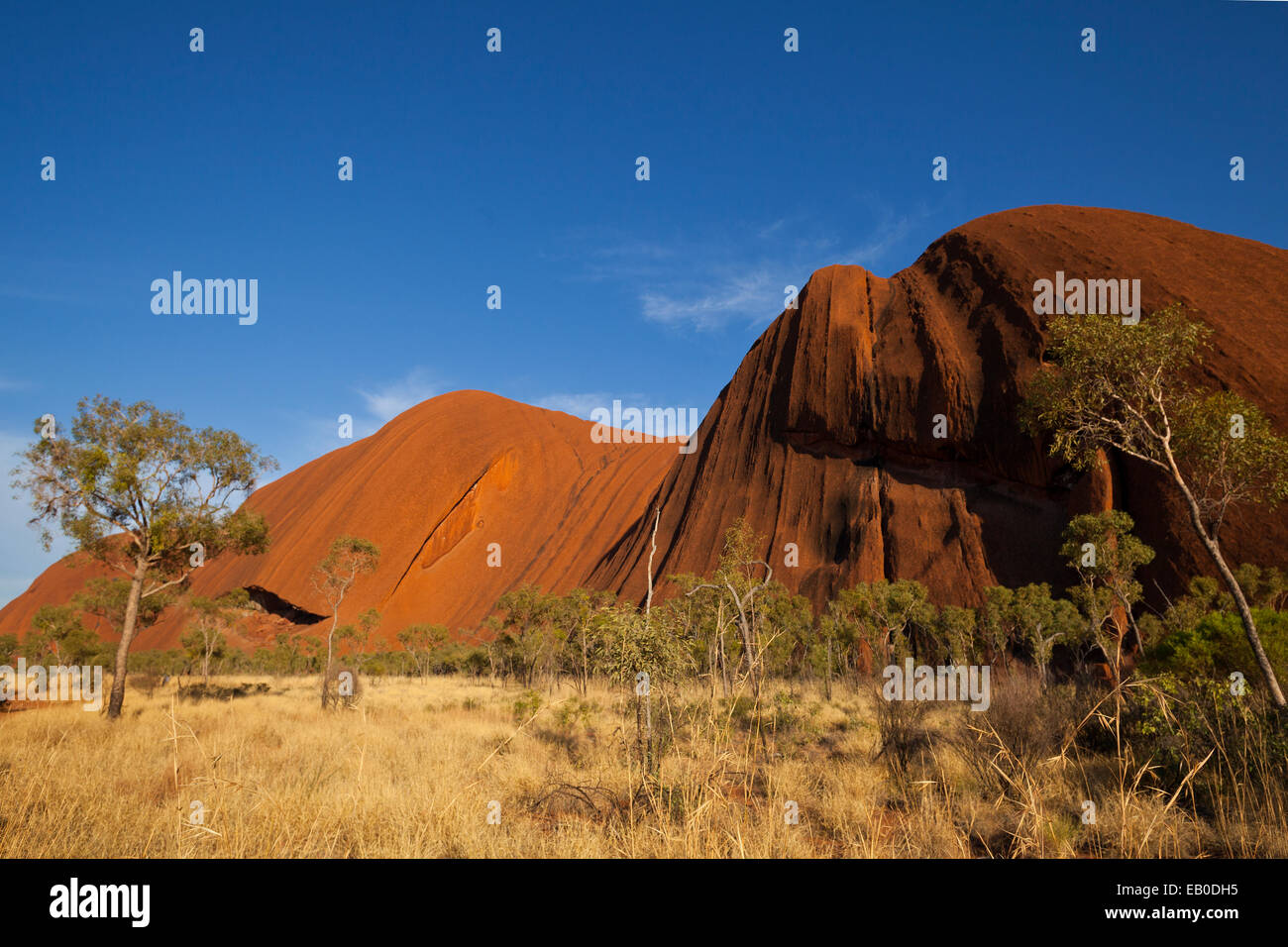 L'Uluru Kata Tjuta National Park Australie Territoire du Nord Banque D'Images