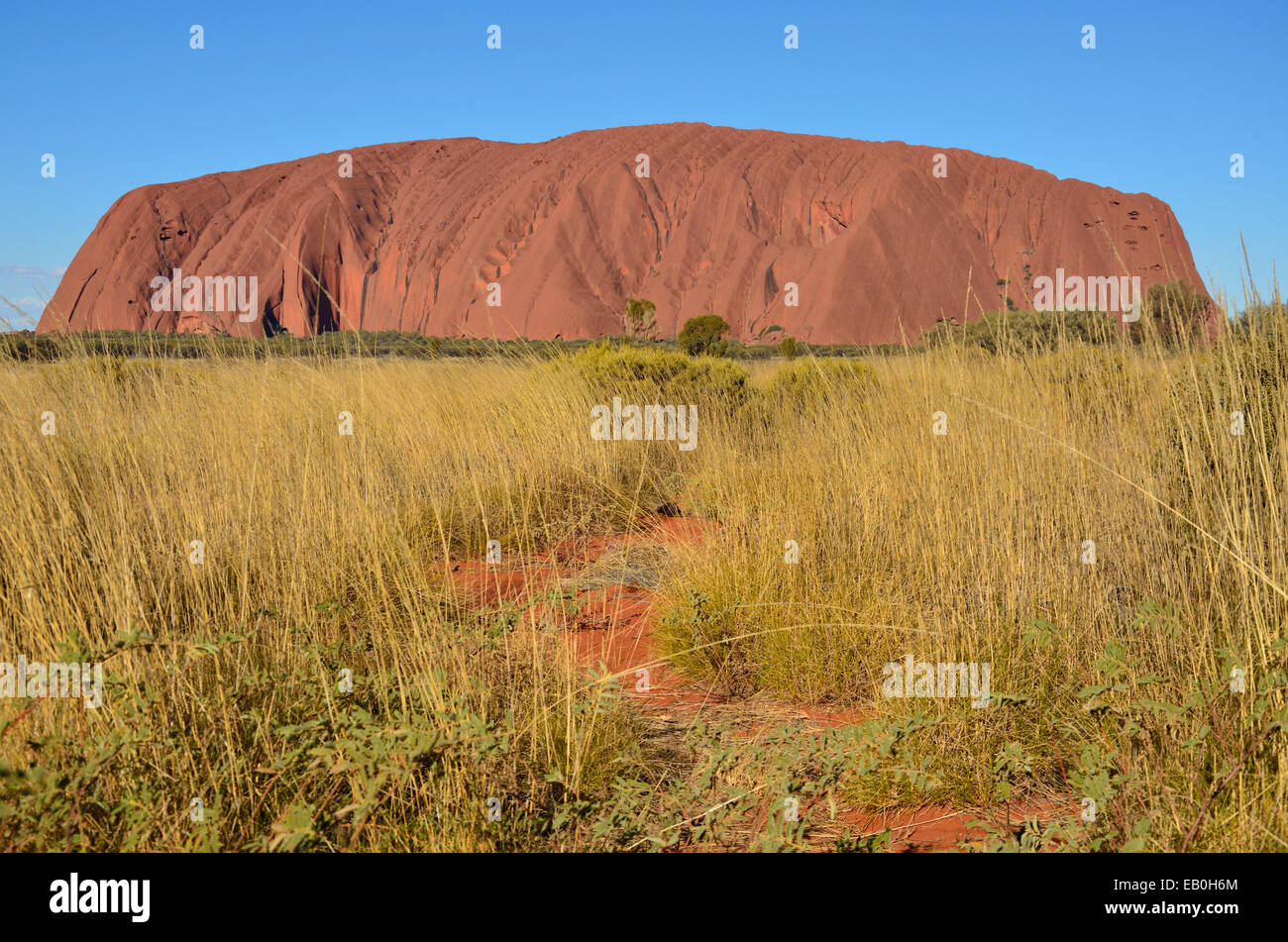 La position du chemin d'Uluru (Ayers Rock) Territoire du Nord en Australie Banque D'Images