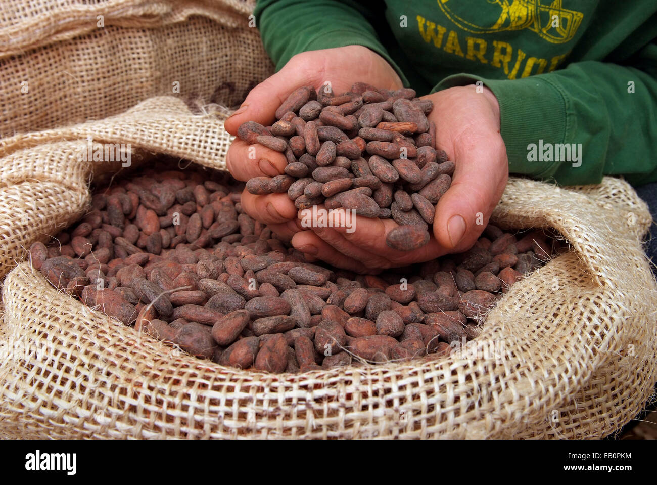 Willie's Chocolate Factory, où Willie et tanis harcourt-cooze faire du chocolat à partir de fèves cocao vénézuélien ses propres biens. Banque D'Images