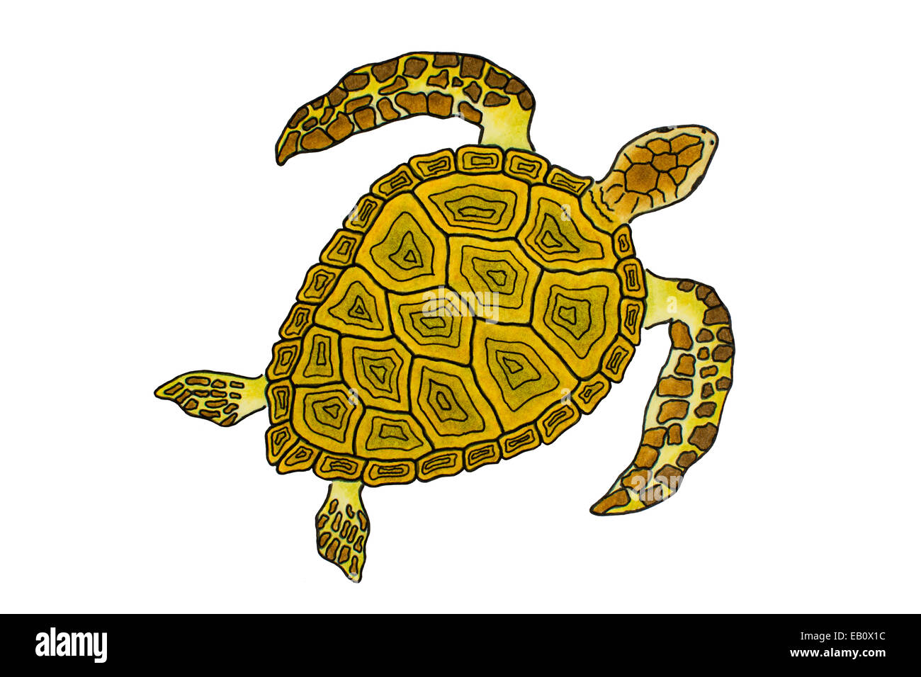 Tortue marine dessin Banque de photographies et d’images à haute