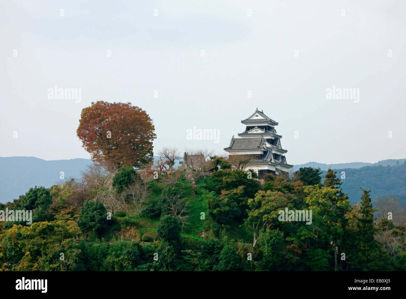 Château Ozu, préfecture d'Ehime Banque D'Images