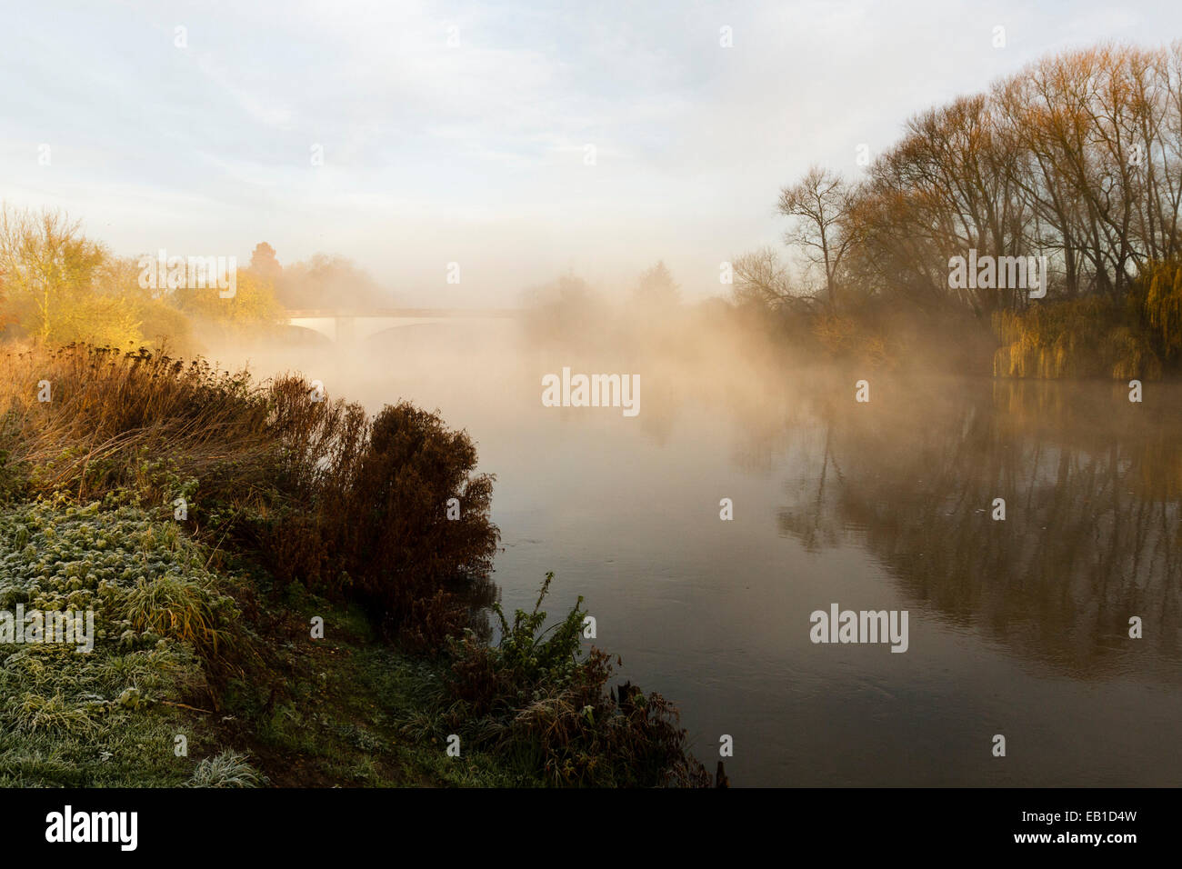 Tamise, Windsor, Royaume-Uni. 24 novembre 2014. La brume et le givre sur les rives de la Tamise au lever du soleil. Credit : Ed Brown/Alamy Live News Banque D'Images