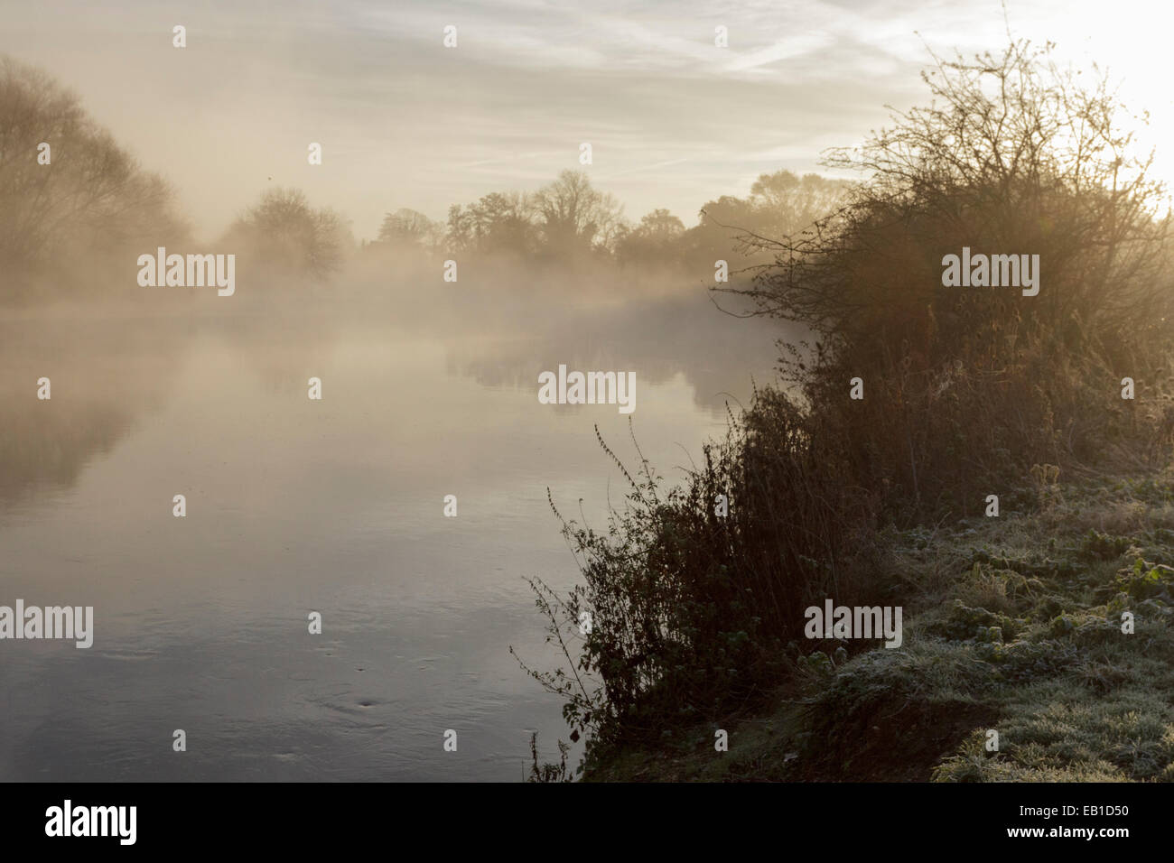 Tamise, Windsor, Royaume-Uni. 24 novembre 2014. La brume et le givre sur les rives de la Tamise au lever du soleil. Credit : Ed Brown/Alamy Live News Banque D'Images