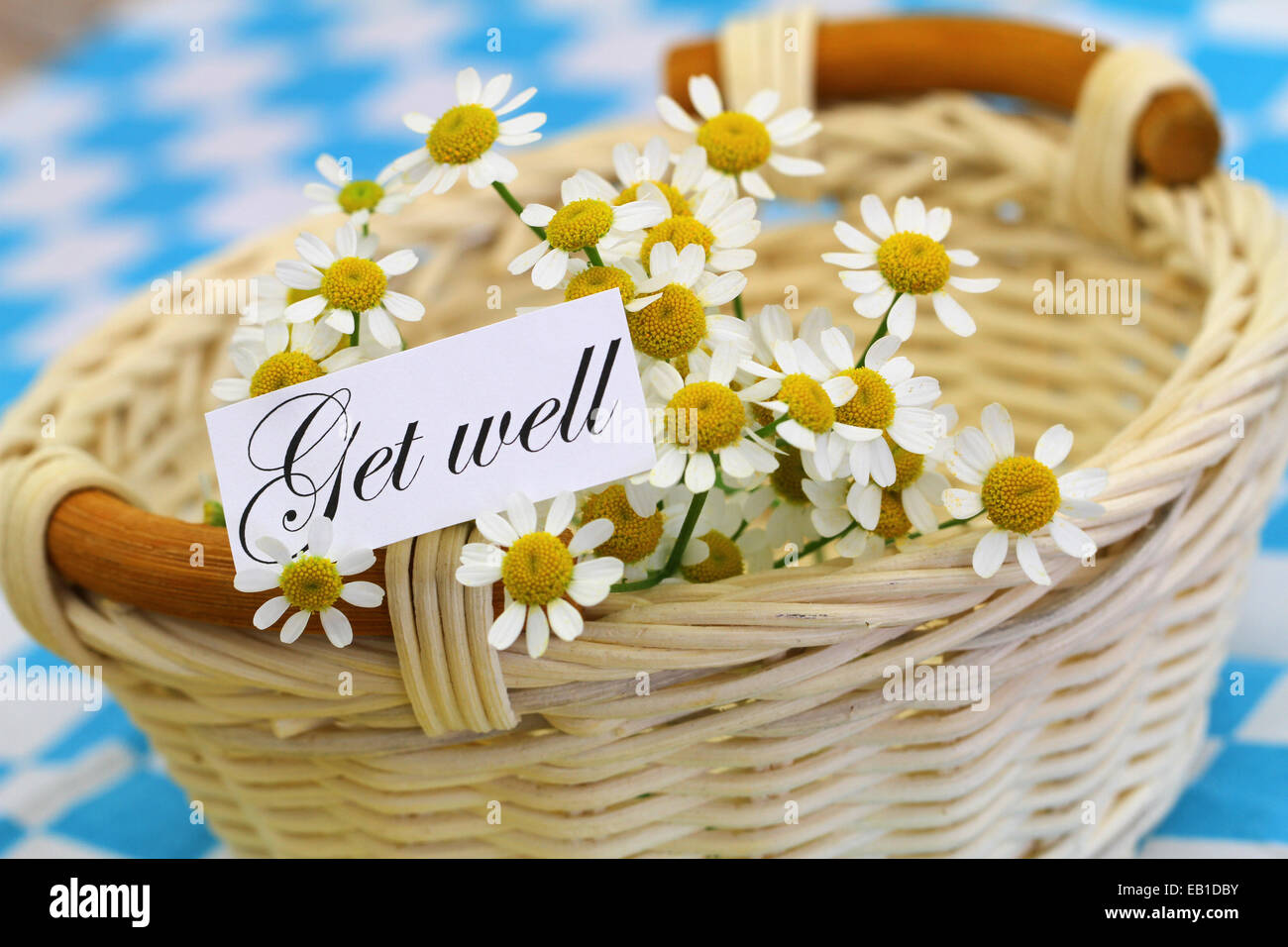 Carte de prompt avec fleurs de camomille dans panier en osier Banque D'Images