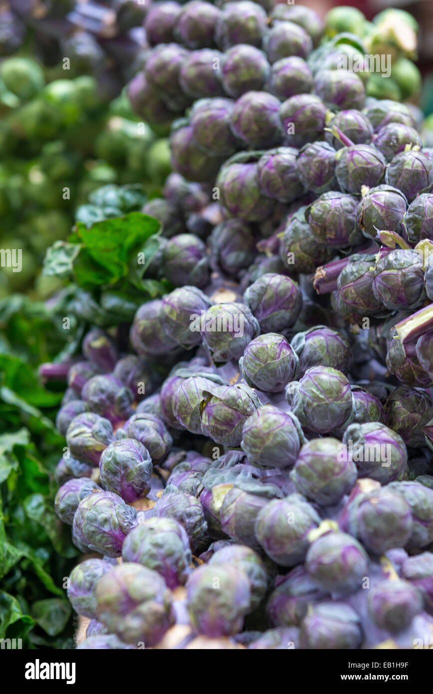 Purple choux de Bruxelles sur la tige affichée sur un kiosque de légumes à Borough Market Banque D'Images