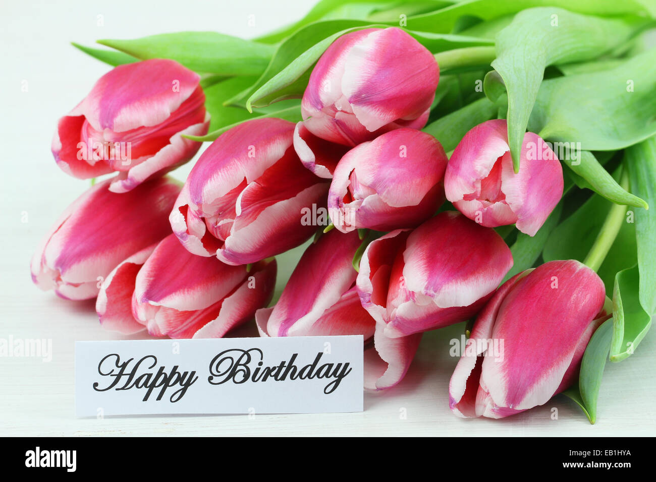 Joyeux Anniversaire Carte Avec Des Tulipes Roses Photo Stock Alamy