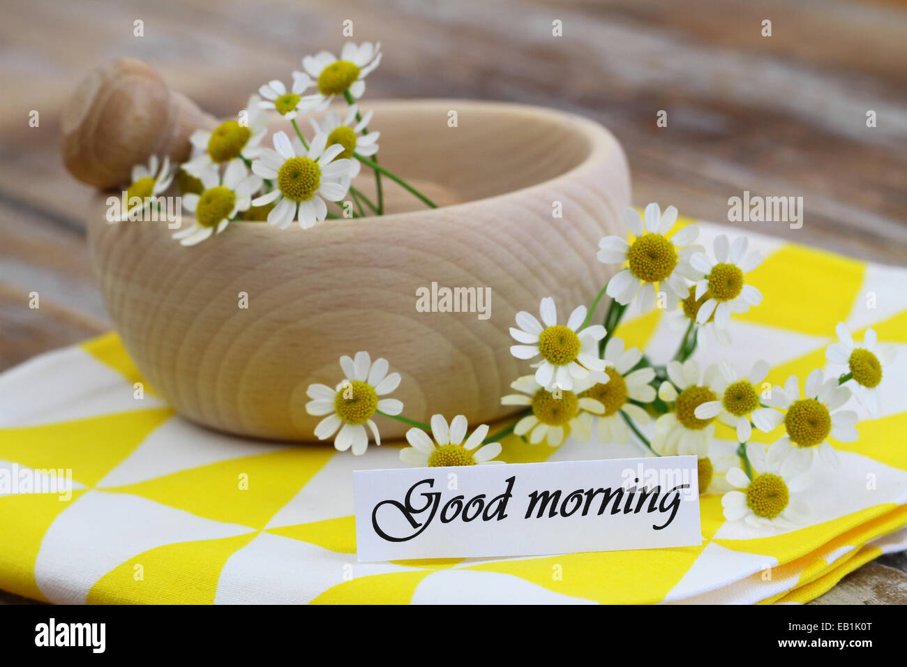 Carte Bonjour avec des fleurs de camomille Banque D'Images