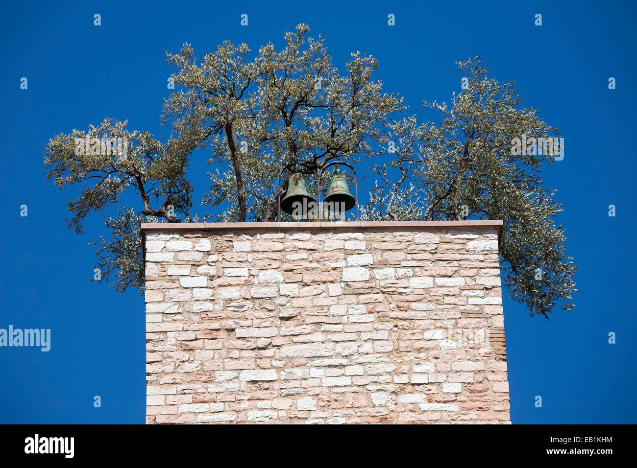 L'Europe, l'Italie, l'ombrie, Spello, porte consulaire, tour avec un olivier Banque D'Images