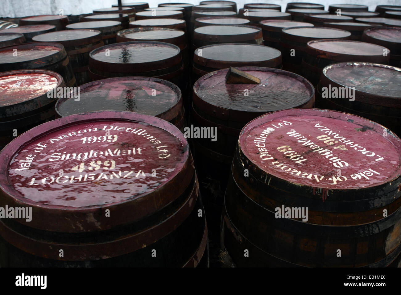 Vieux fûts de whisky dans l'île d'Arran distillery.Lochranza,Ile d'Arran, Ecosse, Royaume-Uni Banque D'Images