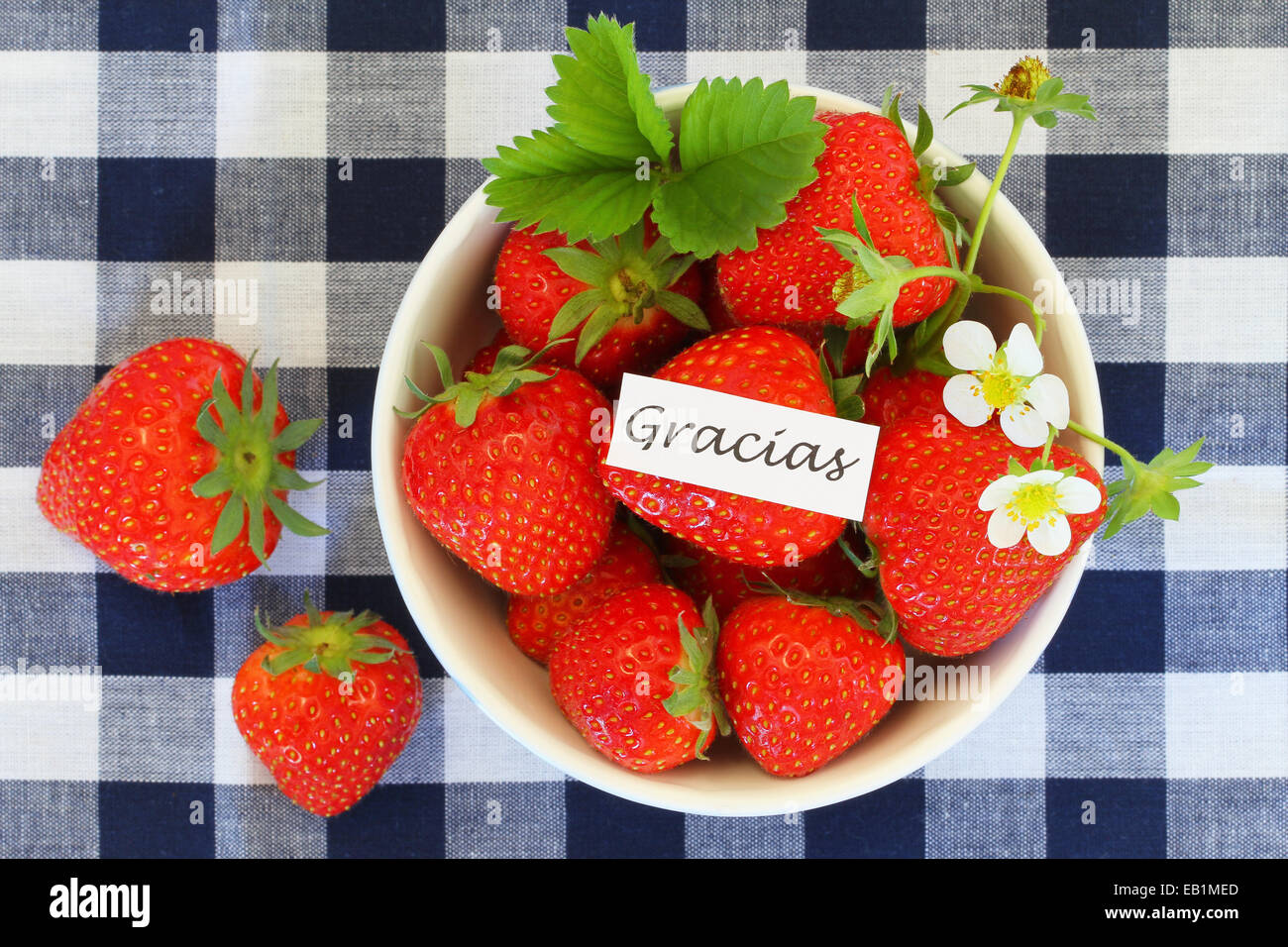 "Gracias", ce qui signifie merci en espagnol et un bol de fraises fraîches Banque D'Images