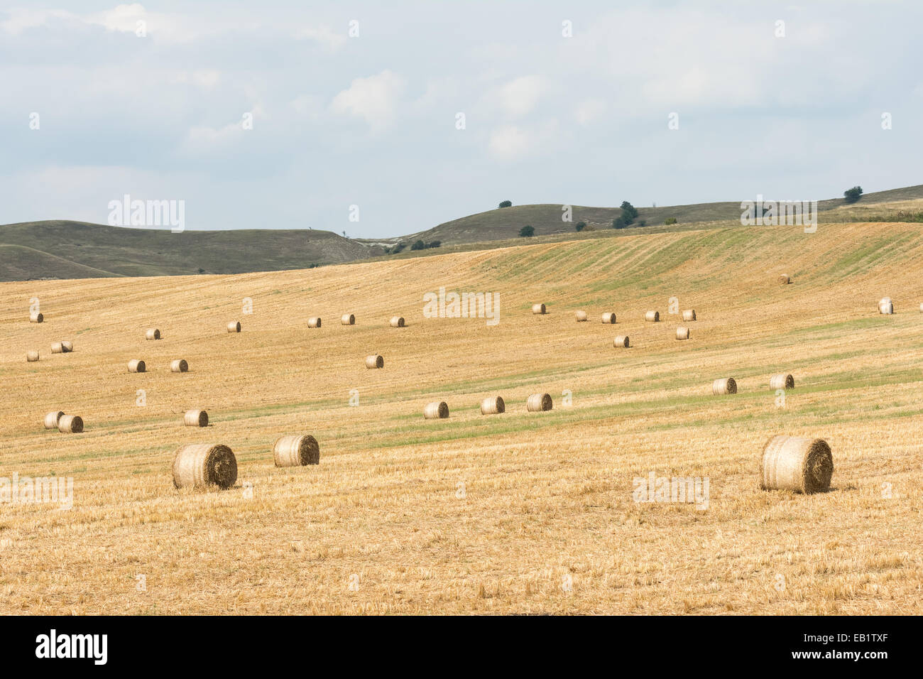 Hay-Roll sur prairie après la récolte de l'été sur Paysage de fin Banque D'Images