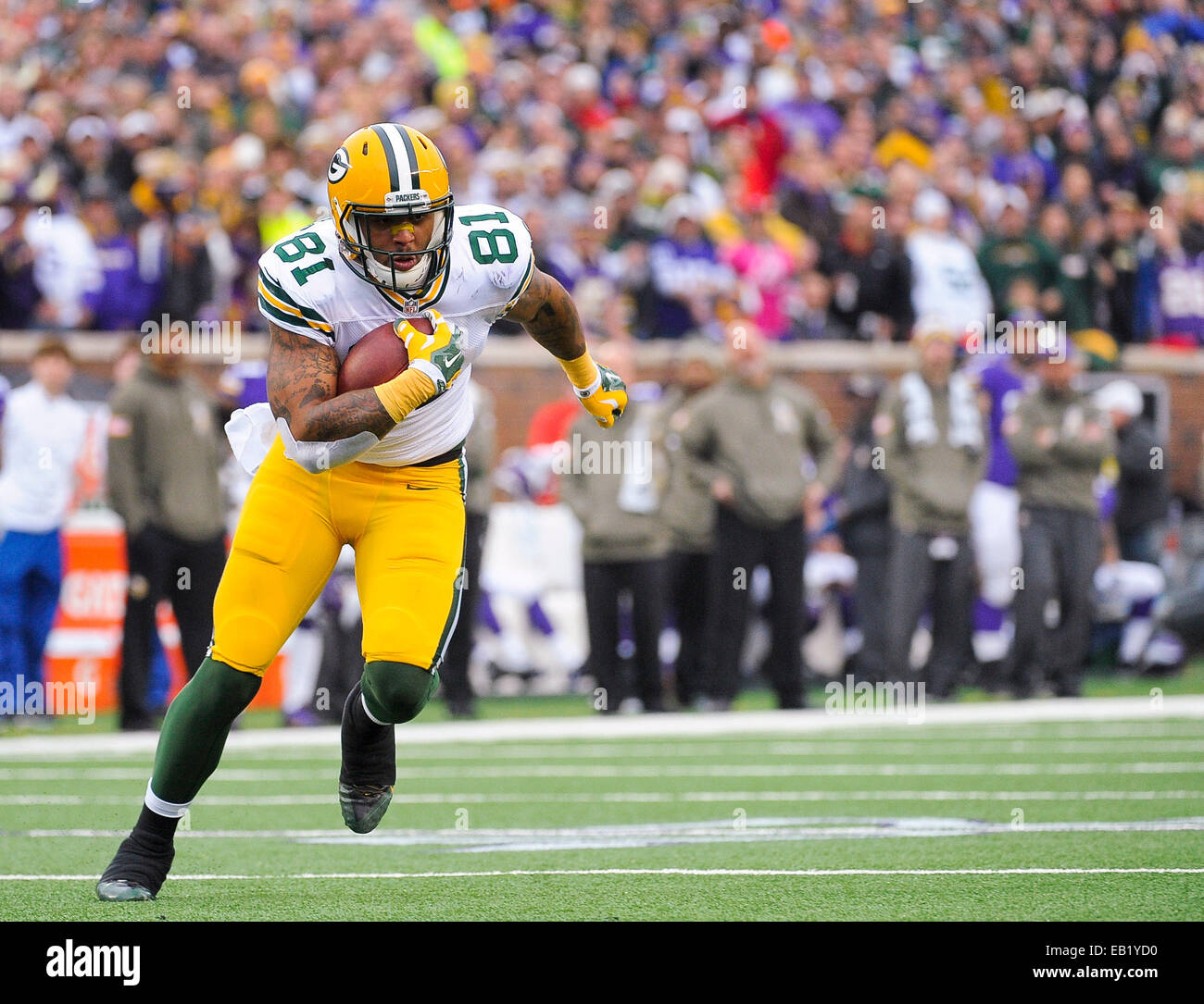 23 novembre 2014 : Green Bay Packers tight end Andrew Quarless (81) en action contre les Vikings du Minnesota au cours du premier semestre à TCF Bank Stadium à Minneapolis, MN..Craig Lassig/CSM Banque D'Images