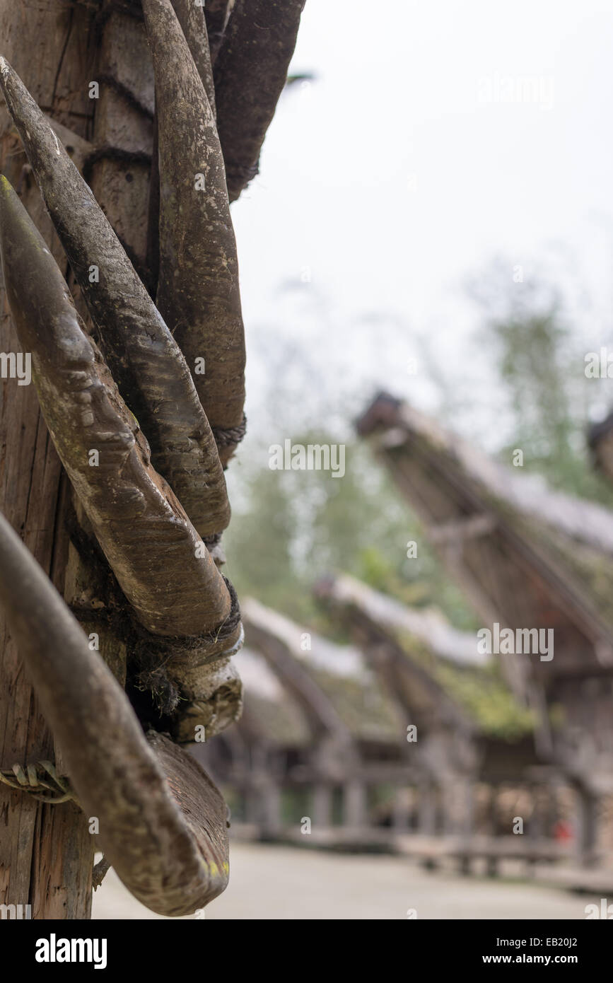 Détails de l'architecture locale, les sculptures sur bois, peintures et décoration traditionnelle avec des cornes de buffle à Tana Toraja Banque D'Images