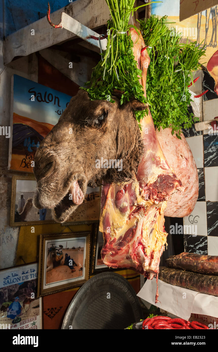 Tête de chameau à la vente à le boucher dans la médina de Fès. Le 30 novembre 2008 à Fès, Maroc, Afrique Banque D'Images