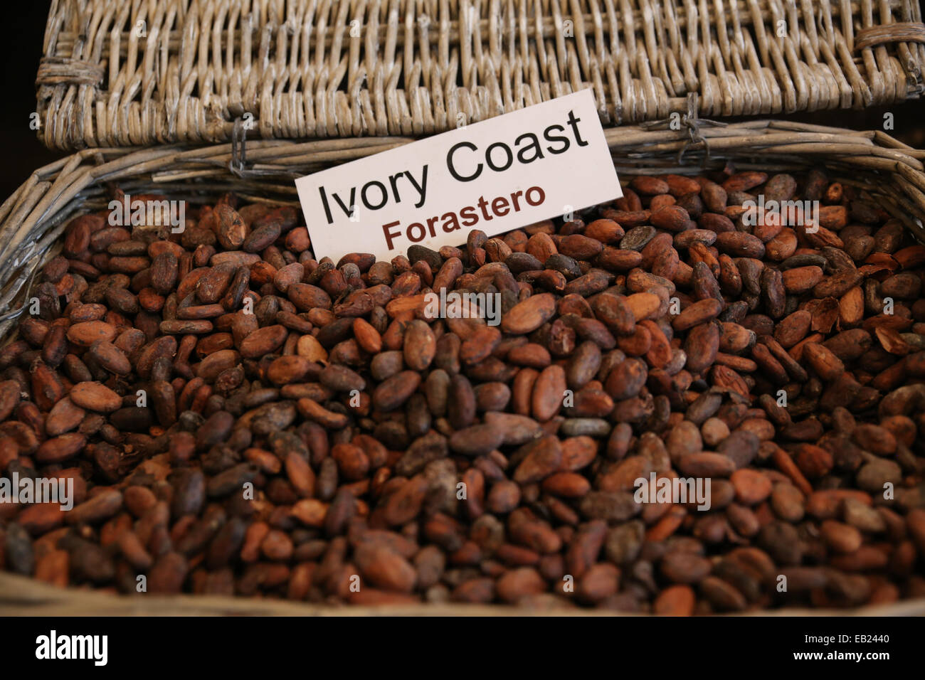 Fève de cacao côte d'ivoire Banque D'Images