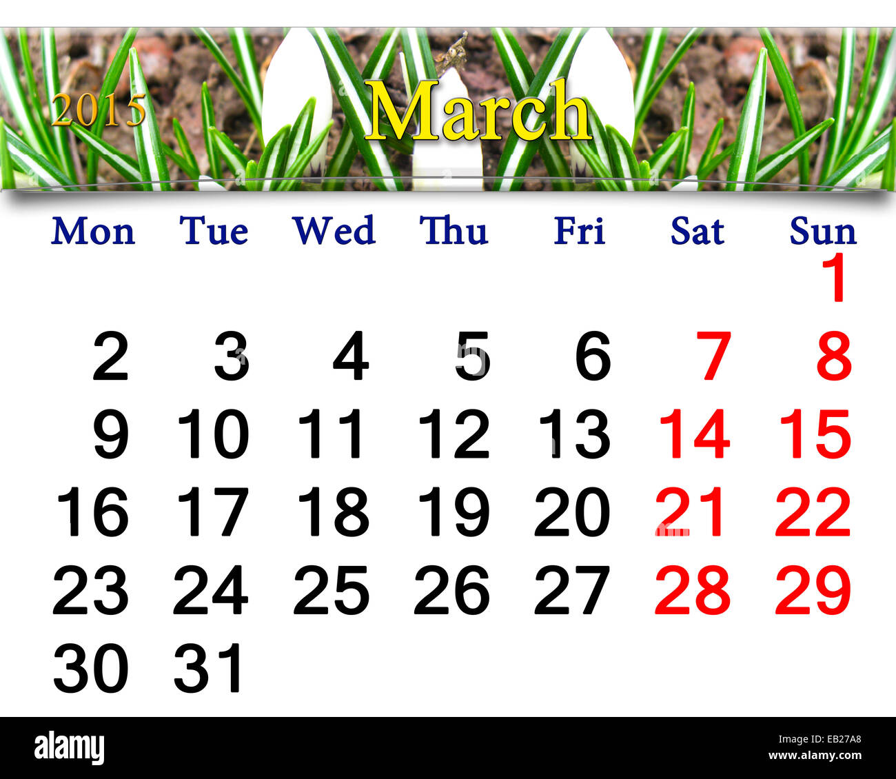 Beau calendrier pour mars de l'année 2015 sur l'arrière-plan de crocus Banque D'Images