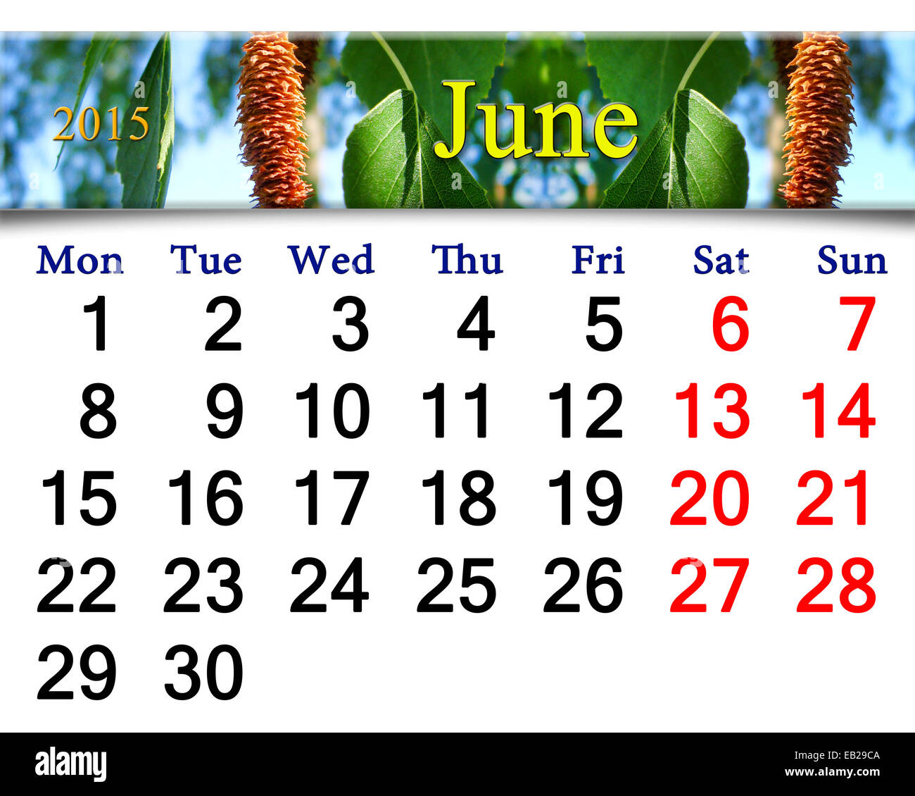 Calendrier pour le mois de juin de l'année 2015 sur l'arrière-plan de feuilles de bouleau Banque D'Images