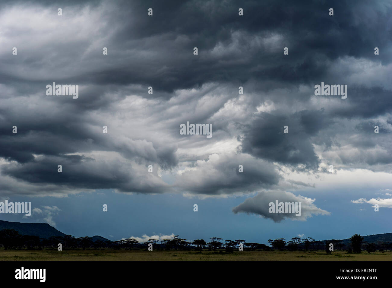 Les nuages de tempête tourbillonnante et torturé promesse pluie sur la savane sèche des prairies. Banque D'Images